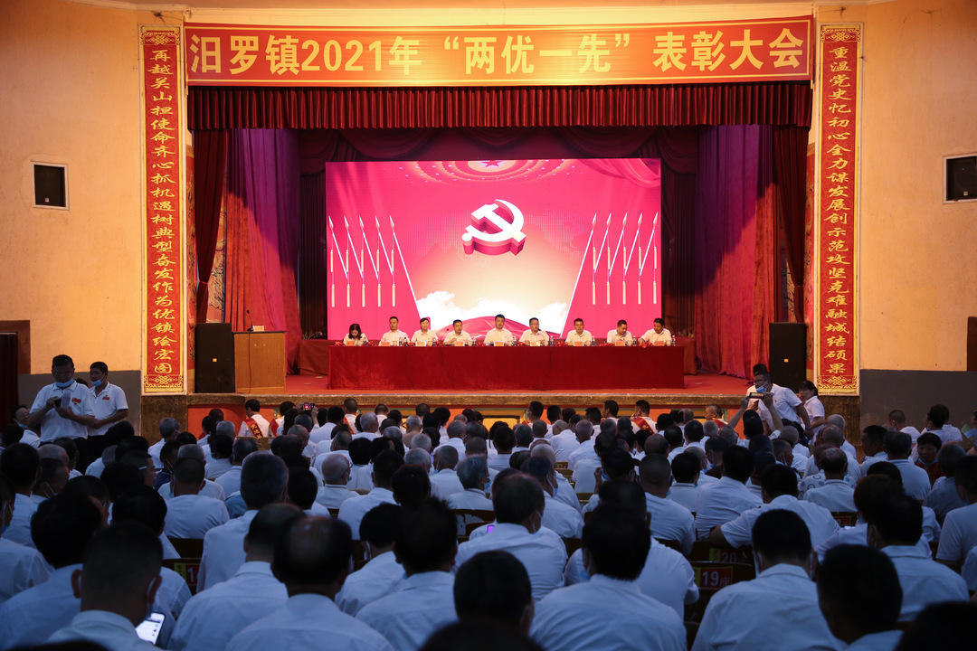 汨罗镇举行“两优一先”表彰暨新党员入党宣誓大会