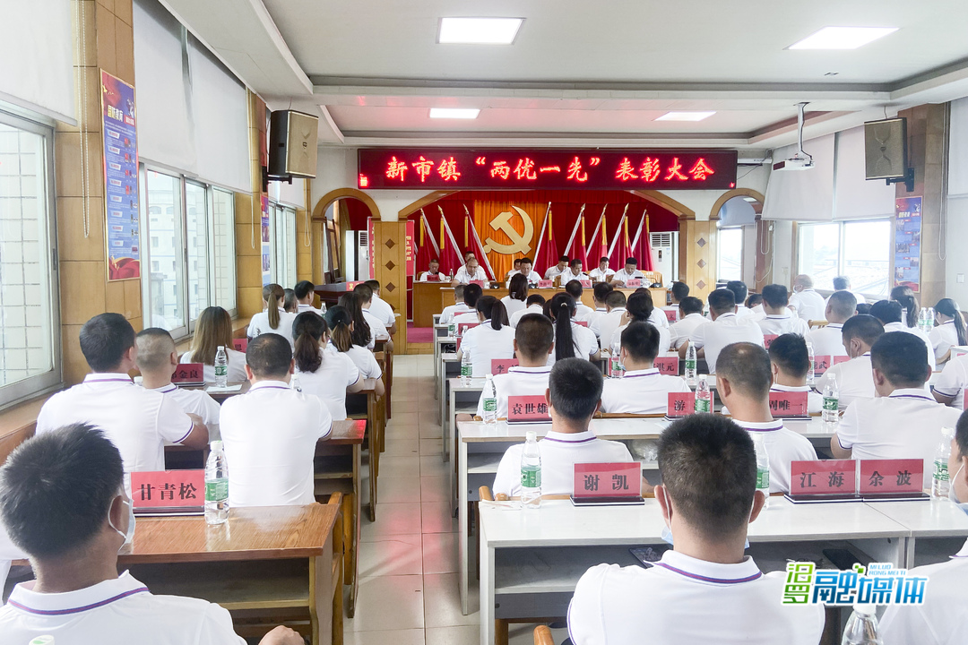 新市镇：庆祝中国共产党成立100周年暨“两优一先”表彰大会举行