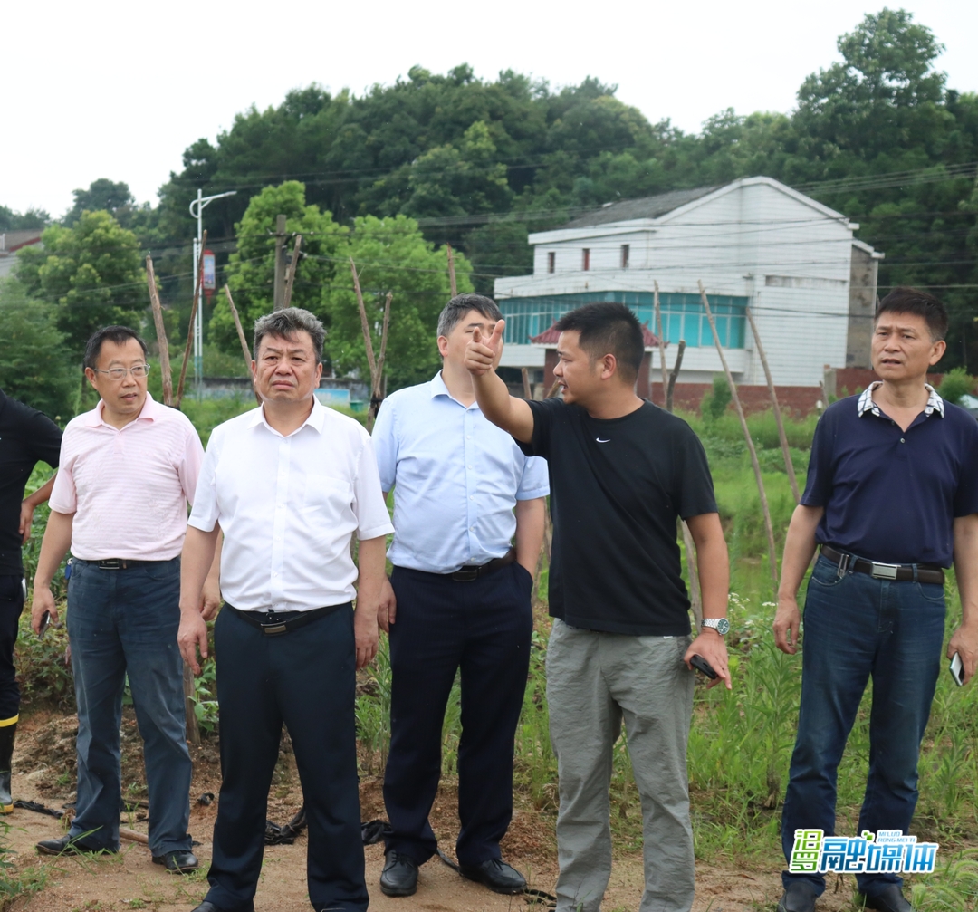 省应急管理厅来汨指导防汛抗灾工作