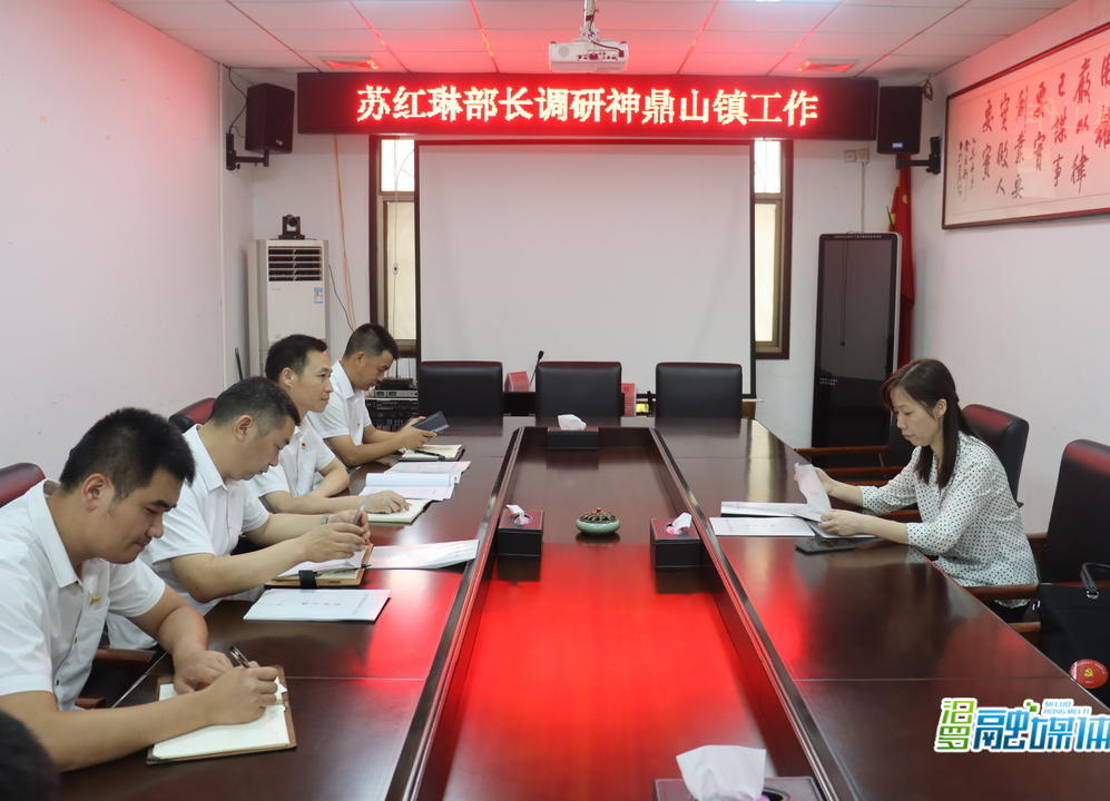 苏红琳深入神鼎山镇调研