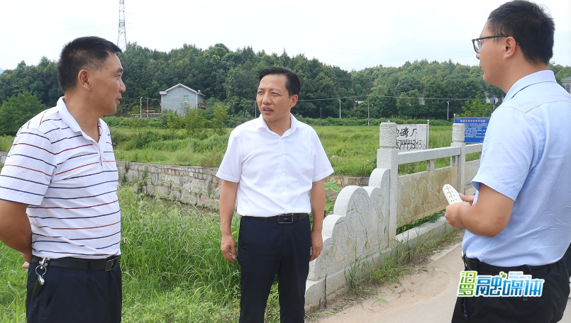 副市长候选人吴艳平巡查芭蕉河