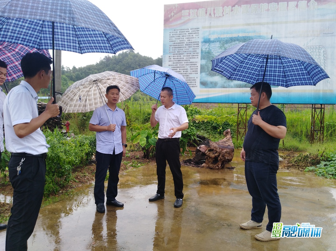 市领导曹陶调研地质灾害防治工作