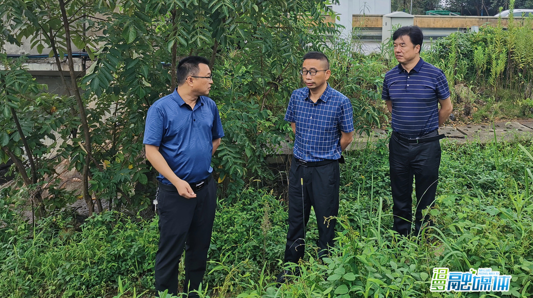 市领导付文勇巡查李家河