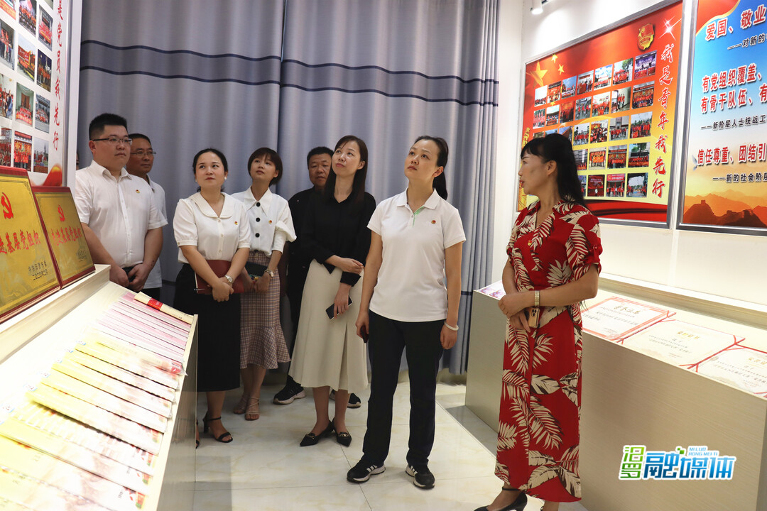 团省委来汨调研共青团工作