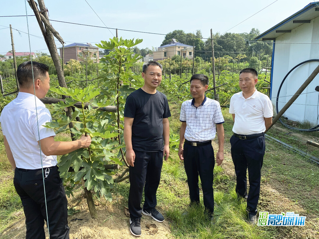 汨罗市人大常委会组织开展特色农业产业调研