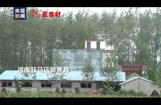 今天鲜花献给英烈丨一抔热土一抔魂 关怀英烈 总书记是这样做的