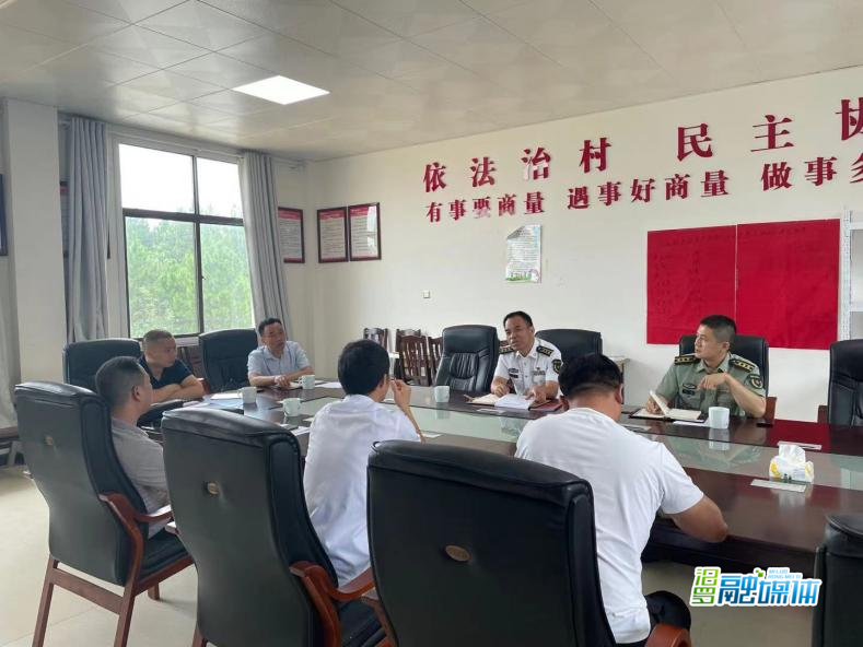 刘为调研指导桃林寺镇乡村振兴和防返贫监测工作