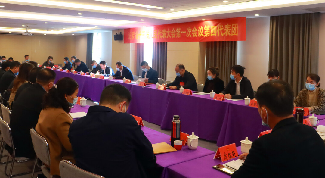 聚焦两会|各人大代表分团讨论继续审议各项报告