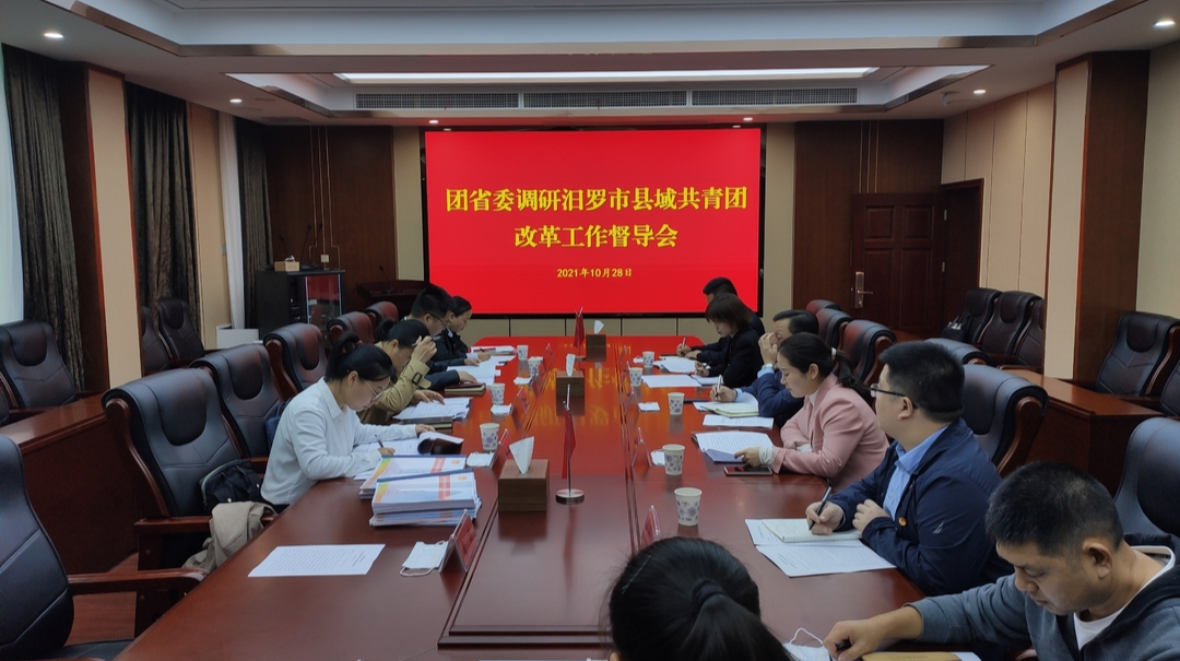 团省委来汨调研国家级县域共青团改革试点工作