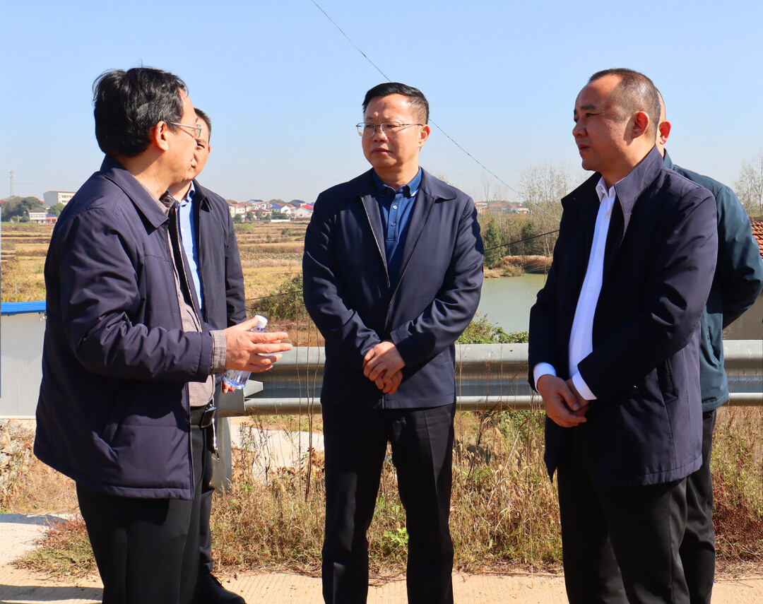 陈阁辉来汨调研防灾减灾、水利建设等工作