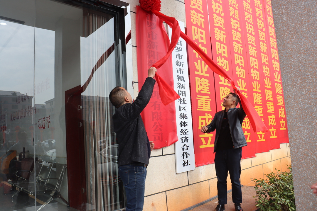 新市镇新阳社区成立物业公司为村集体经济“赋能”
