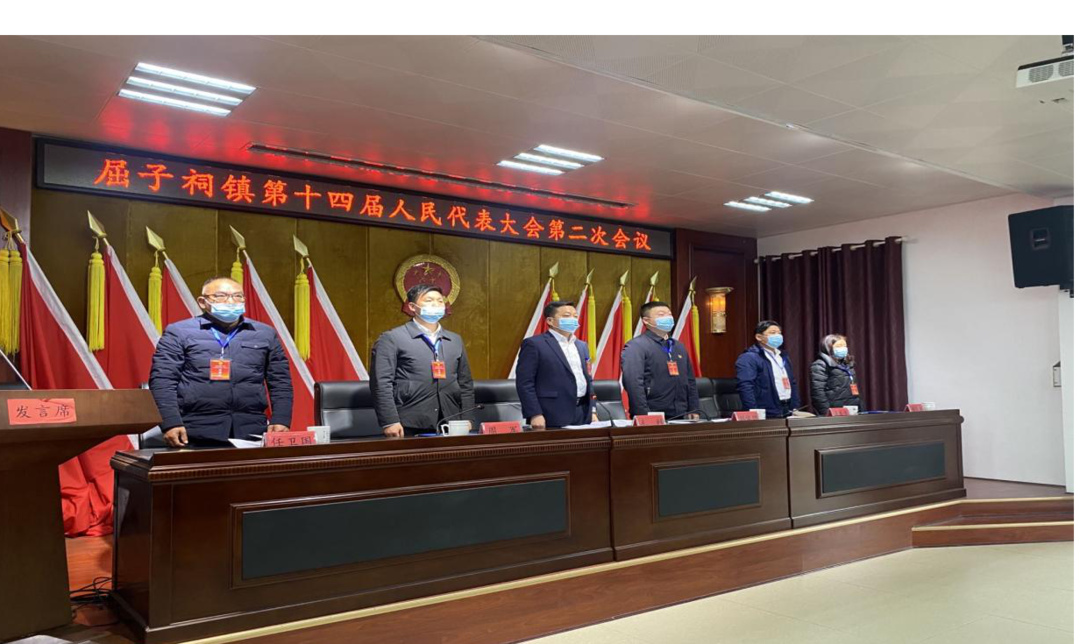 屈子祠镇十四届人大二次会议召开，刘俊偲当选镇长