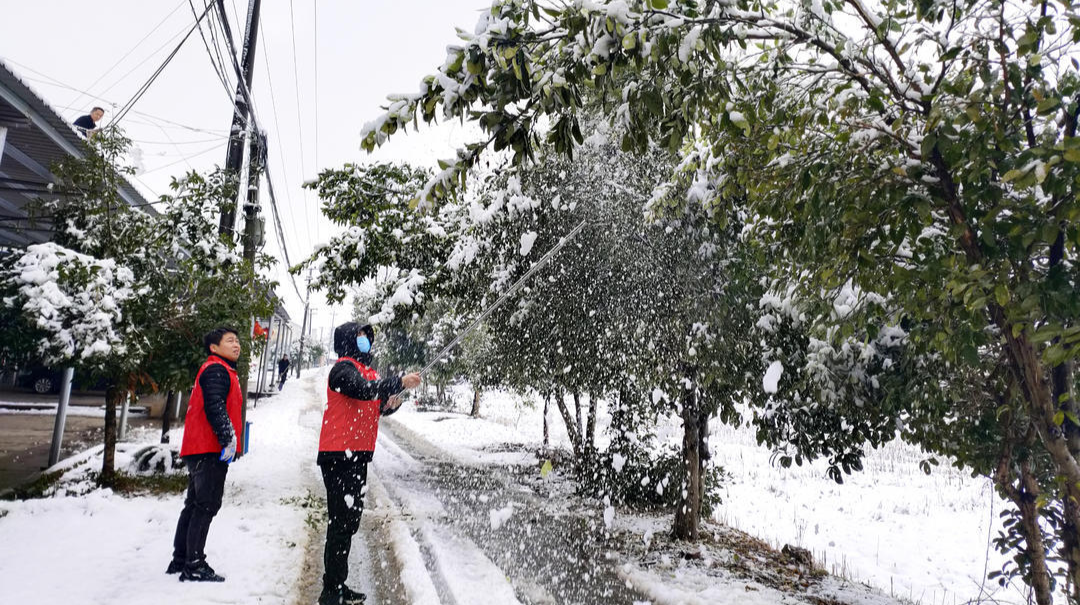 注意防范！2月9日凌晨2点后汨罗有中到大雪