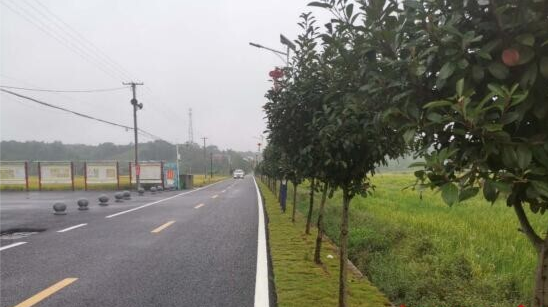 党政发力，乡贤给力，百姓助力，古培镇“绊脚石”变身“希望路”