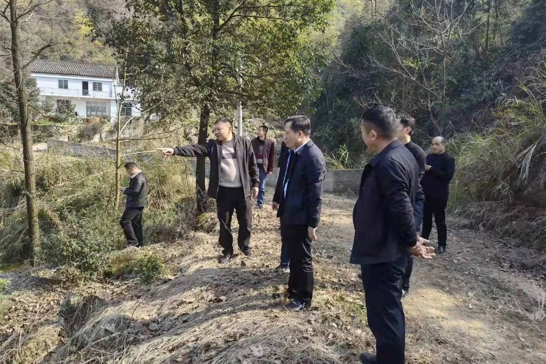 吴艳平到川山坪镇开展巡林工作