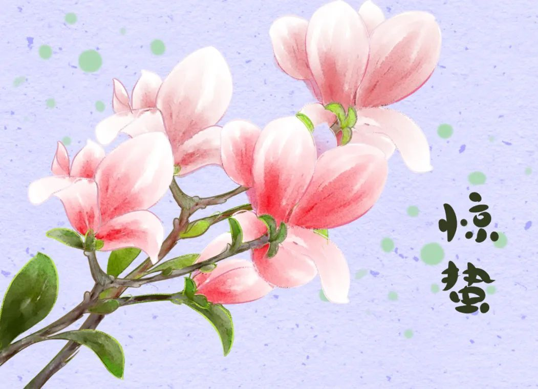 微节气||今日惊蛰！山青了，水绿了，花开了……