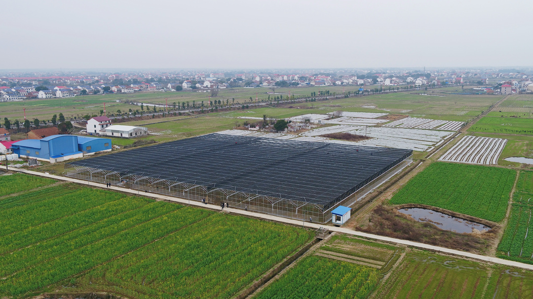 补贴政策来了！汨罗市2022年粮食生产工作方案出炉