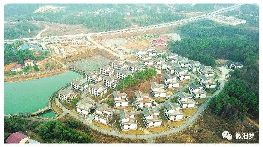 微头条《新华每日电讯》整版报道湖南十年十村十变，汨罗这个村上榜~