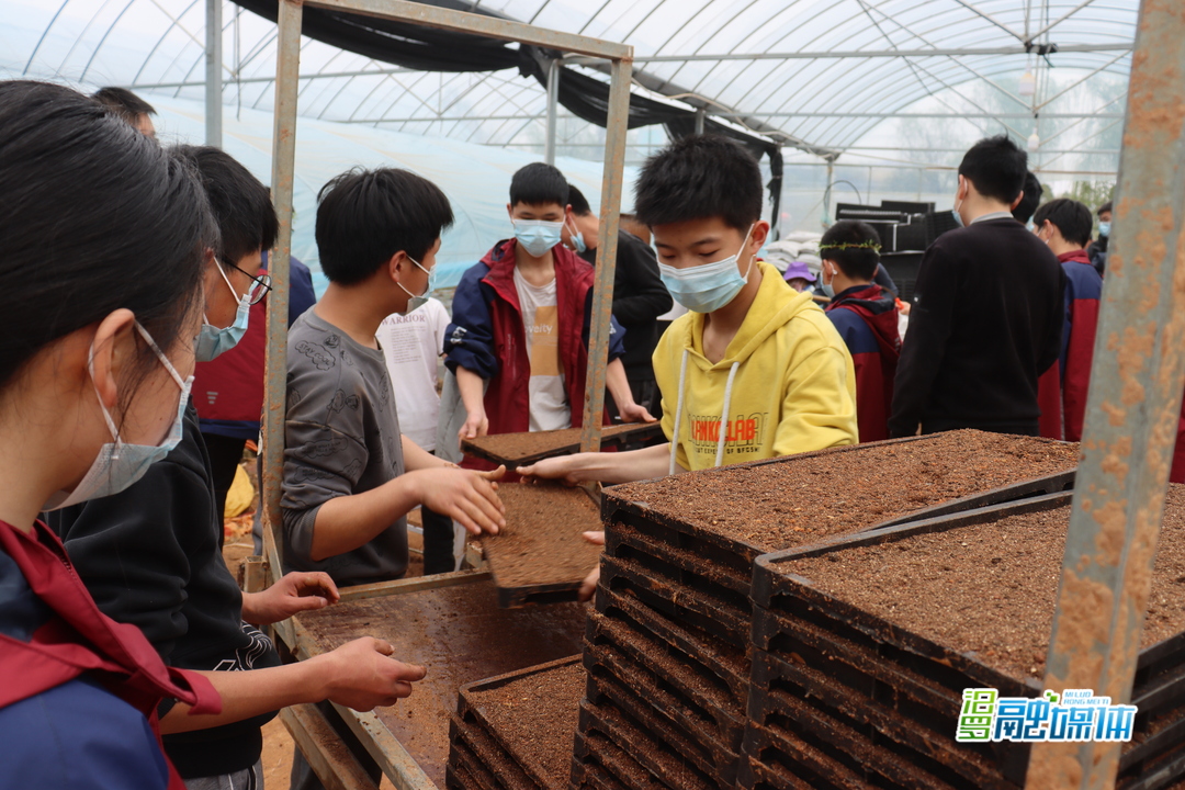 汨罗大荆中学课堂设在“田间地头”，学子学农耕收获多