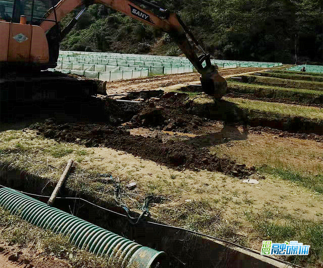 响应耕地保护政策！三江镇一养殖户自行拆除占用基本农田养殖场
