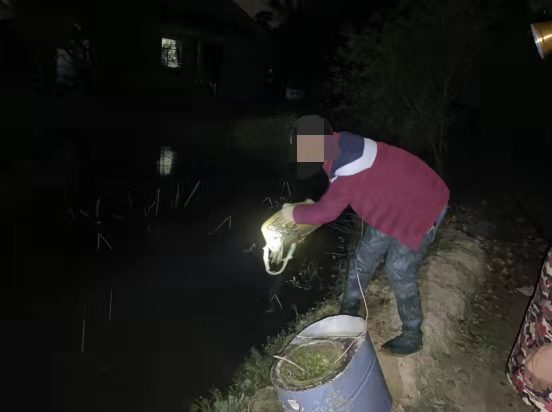 打击非法捕鱼！古培镇开展夜间“雷霆行动”
