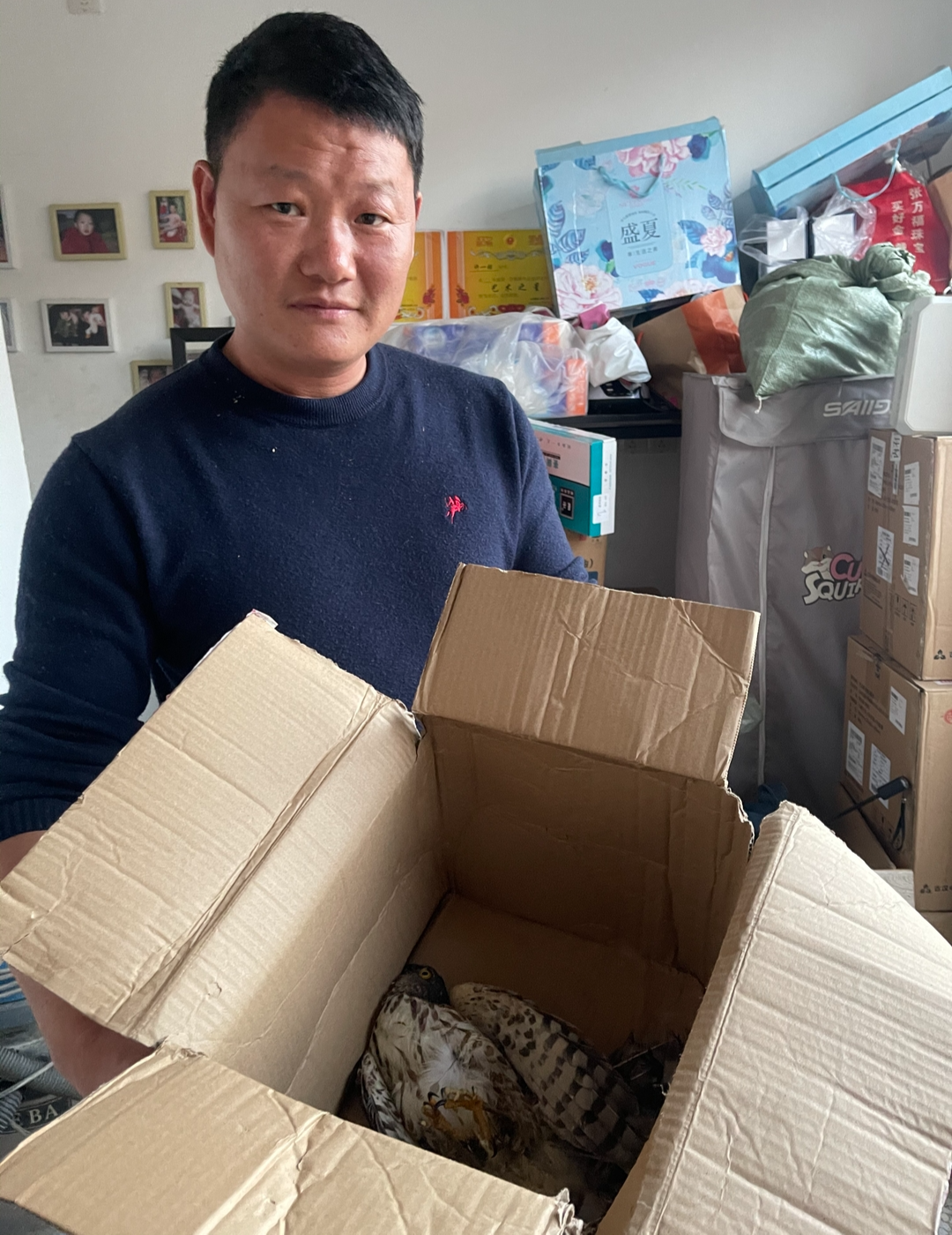 白塘镇一村民捡到“落难”鹰，林业部门全力救助