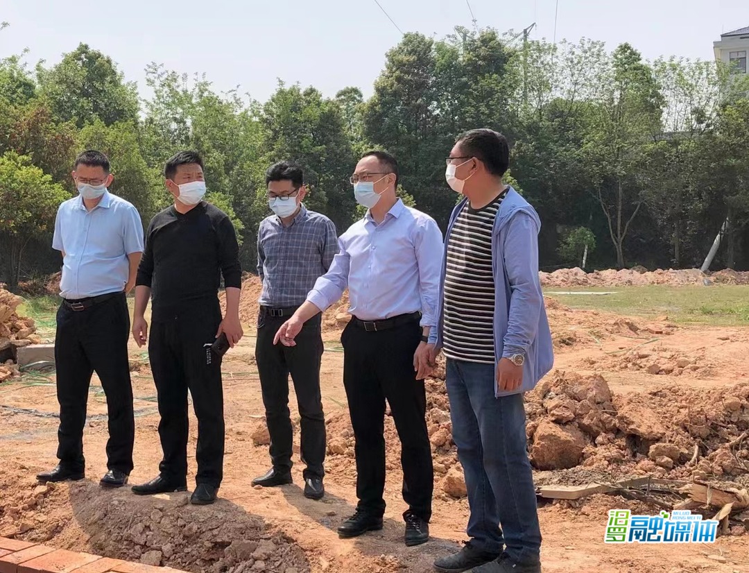 叶罡调研弼时镇乡村振兴工作