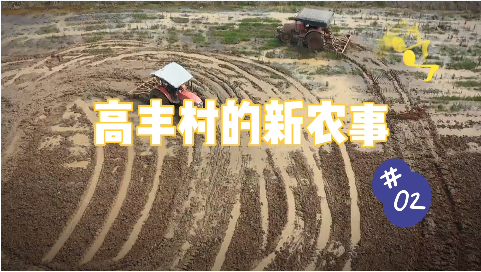 【高丰村的新农事】第二集：土地流转A计划出师不利 村支书惨赔违约金