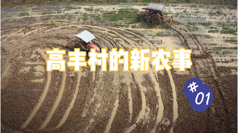 【高丰村的新农事】第一集：耕地挖潜新模式 侯丰带你看高丰