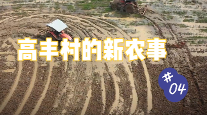 【高丰村的新农事】第四集：以农田改造推动土地流转 村支书启动B计划