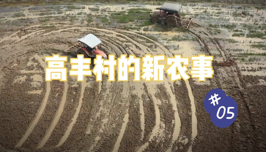 【高丰村的新农事】第五集：农田改造缺资金 600万投入从哪来？