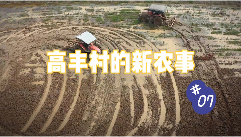 【高丰村的新农事】第七集：用活土地流转金 三方都赚能共赢