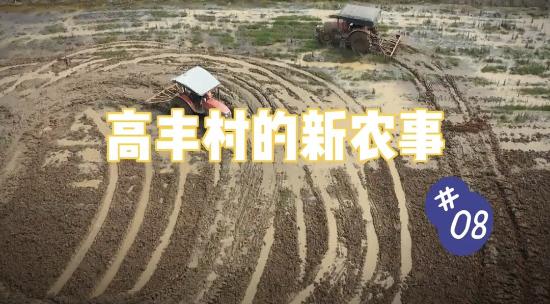 【高丰村的新农事】第八集：有了问题摆上桌，办法总比困难多。高丰模式有奔头，粮食安全不用愁。