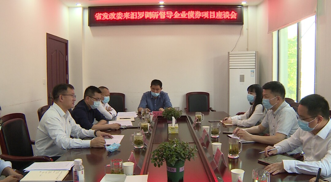 省发改委财信处来汨调研督导企业债券项目