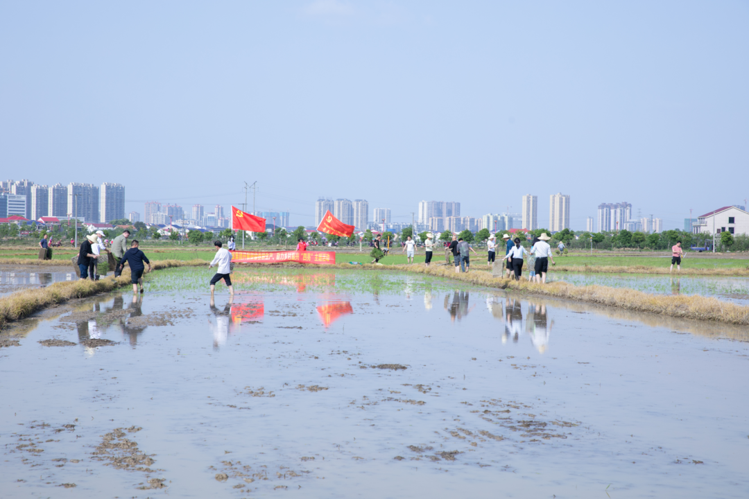 汨罗文旅：为群众办实事 助力乡村振兴