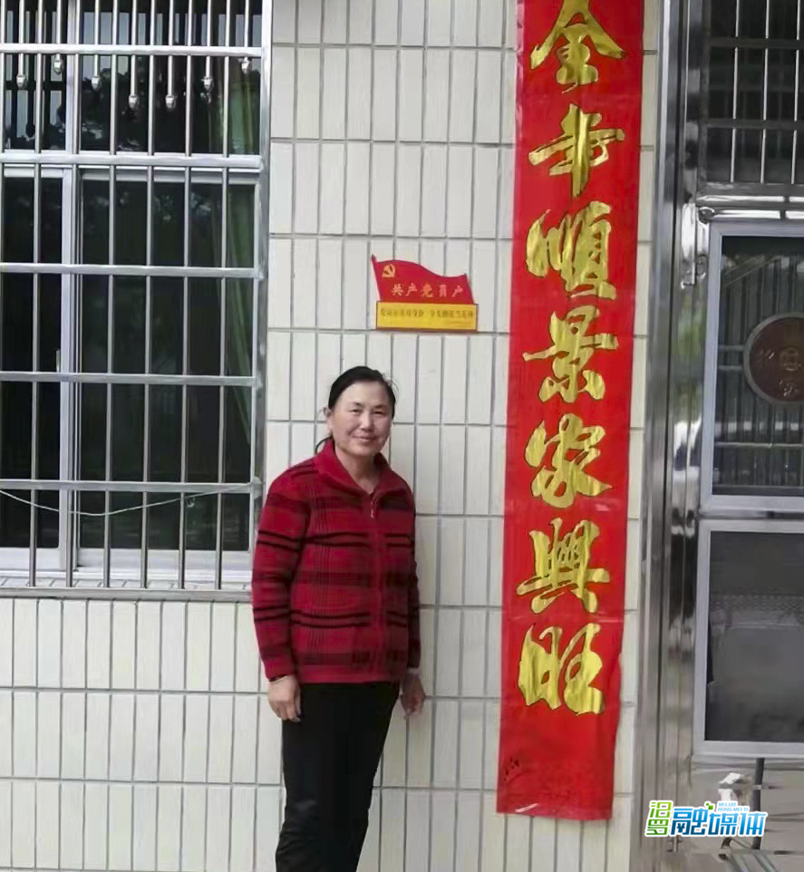 弼时镇：共产党员户“挂牌”亮身份