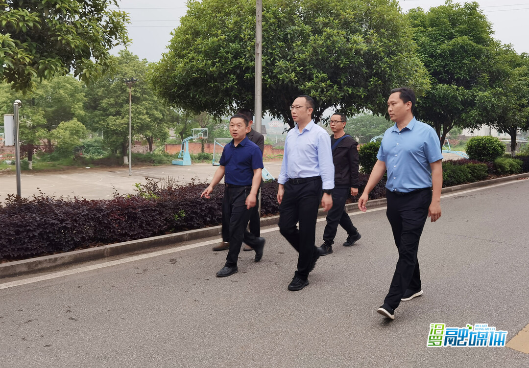 叶罡调研白水镇教育改革和校园安全工作