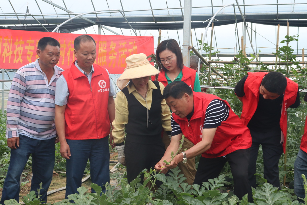 岳阳市科技活动周技专家乡村行志愿服务活动走进汨罗
