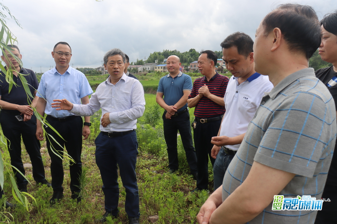 省水利厅来汨督导弼时镇河道整治工作