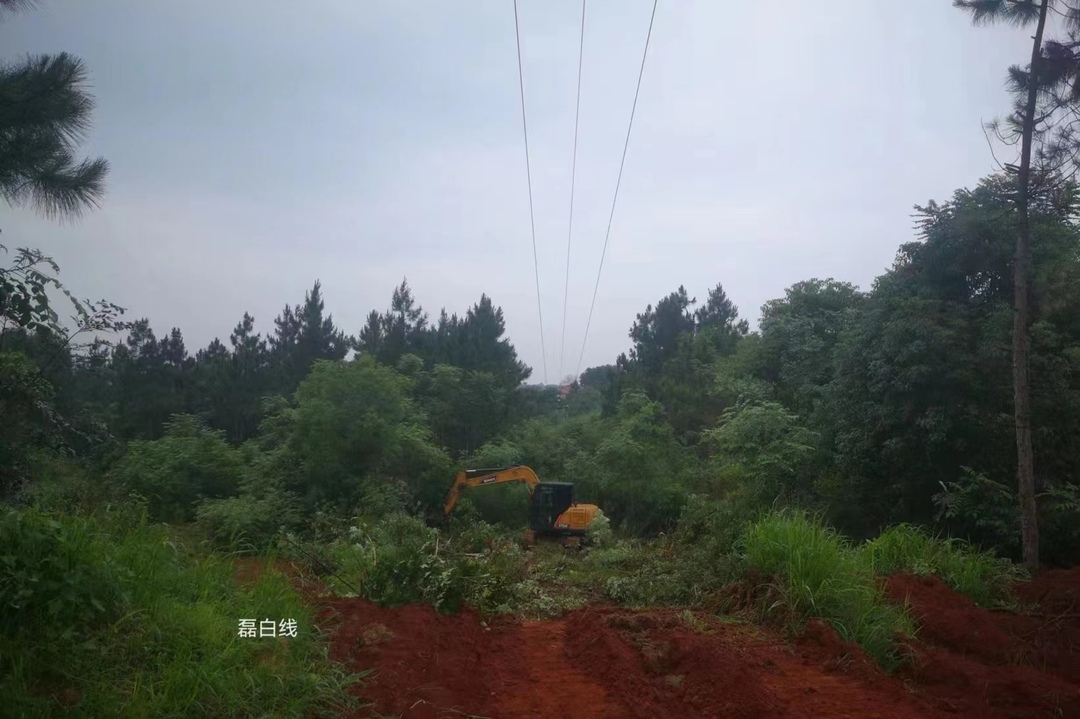 高压线路通道“大扫荡”，白塘群众用上“放心电”