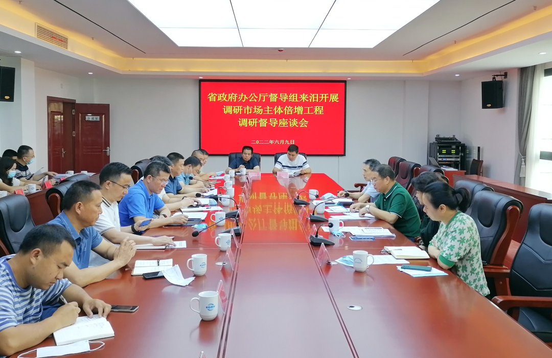 省政府办公厅督导组来汨调研督导市场主体倍增工程工作