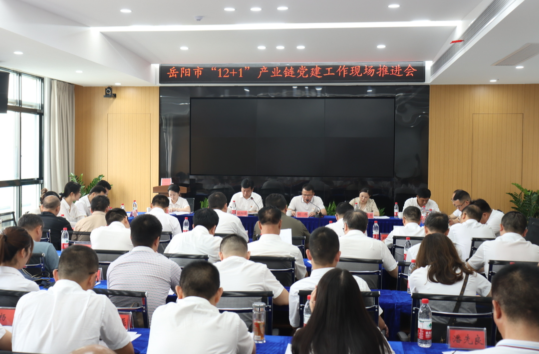 岳阳市“12+1”产业链党建工作现场推进会在汨召开