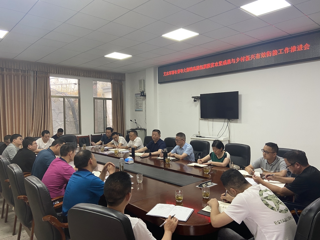 艾志军督导大荆镇巩固拓展脱贫攻坚成果与乡村振兴有效衔接工作