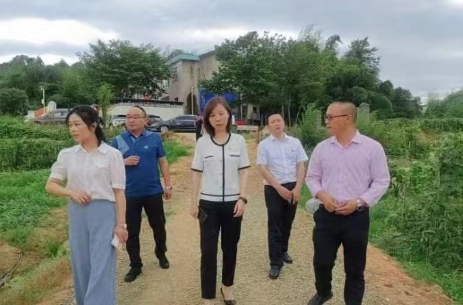 苏红琳到古培镇杨梅铺村走访监测户，调研产业发展情况