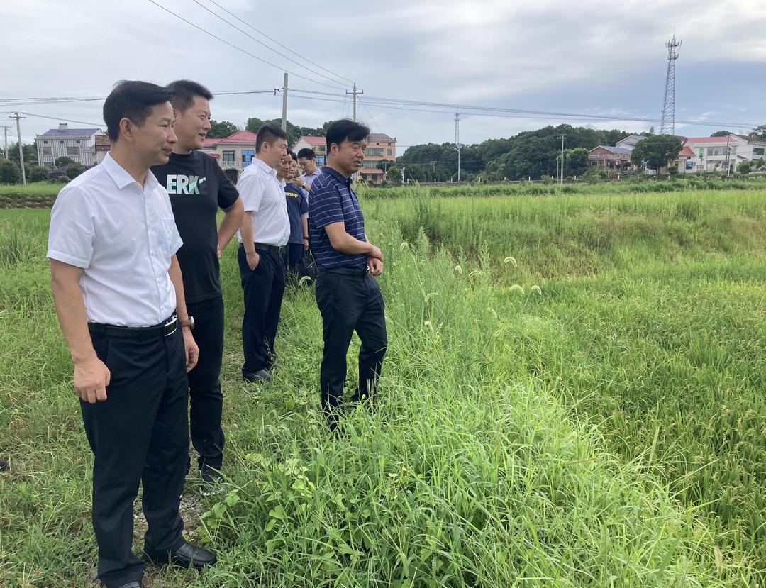 全面落实田长制 曹陶带队开展巡田工作