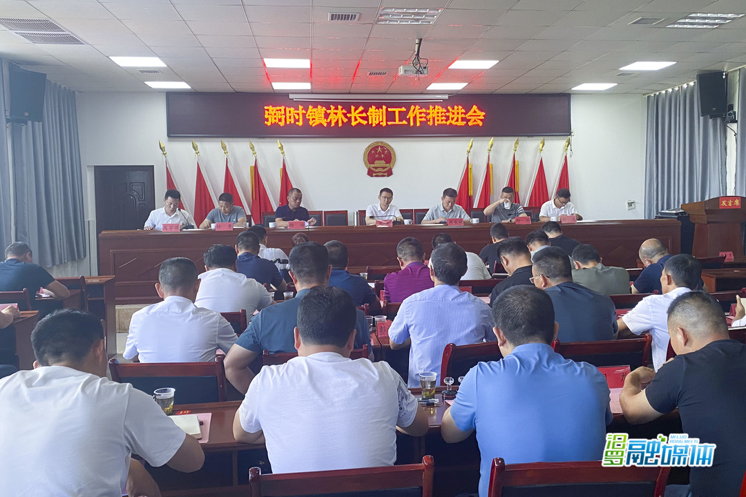 弼时镇：全面推进林长制，守护一方青山