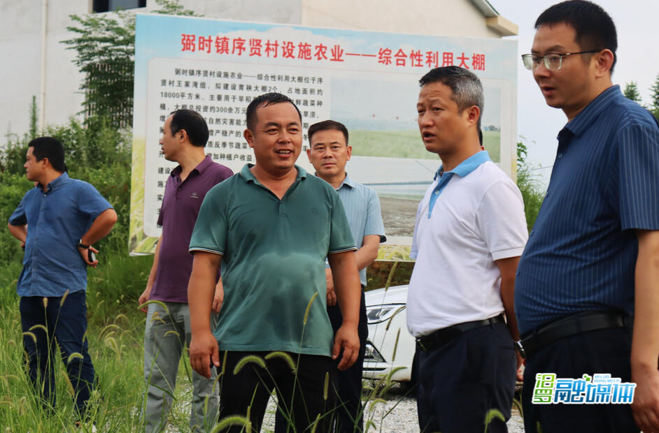 林恒求调研指导弼时镇乡村振兴工作
