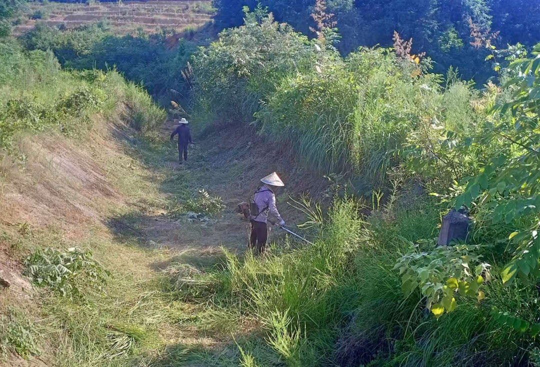 长乐镇：干群合力，疏浚渠道抗旱保生产