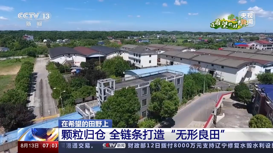 在希望的田野上 颗粒归仓 全链条打造“无形良田”