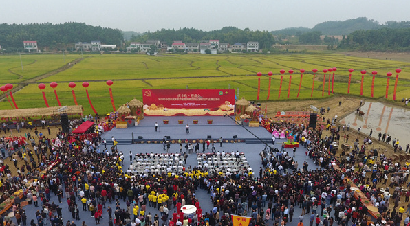 【学习强国】2022年中国农民丰收节全国供销合作社（湖南汨罗）主题日活动举行